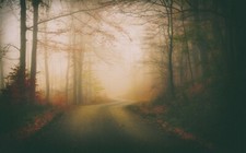 Landscape nature mist road fall forest leaves trees Custom Gaming Mat Desk