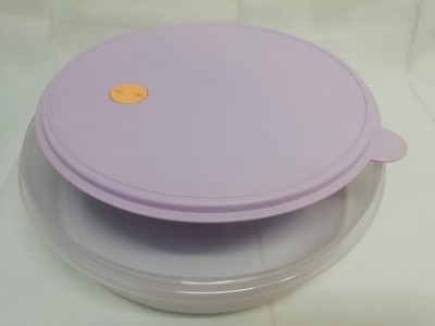 Tupperware Eiszeit Gefrierbehälter