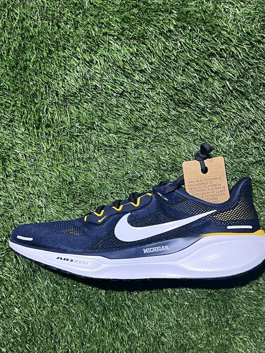 Nike Pegasus 41 Michigan Wolverines Men Size 8 Running Shoes FZ5128-400 FZ5128-400 Men main image 2