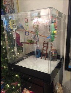 Bird Cage / Small Acrylic Cage for 