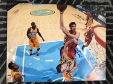 Toronto Raptors Andrea Bargnani Signed Autographed 11x14 Photo COA