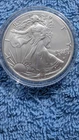 2024 American Eagle  Uncirculated 1 oz .999 Silver Bullion $1 Coin