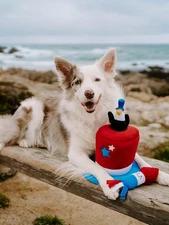 Americana Top Hat Dog Toy, By ZippyPaws, 4 Pieces