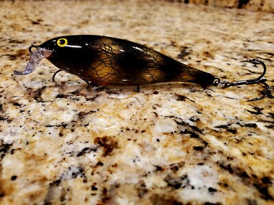 Rapala Shallow Shad Rap SSR-9 Custom Painted Crankbait New 