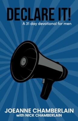 Chamberlain - Declare it!  A 31 day devotional for men - New paperback - X555z