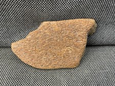 Fossil Whale Bone Section Unidentified sp, North Sea, UK Specimen Rare !