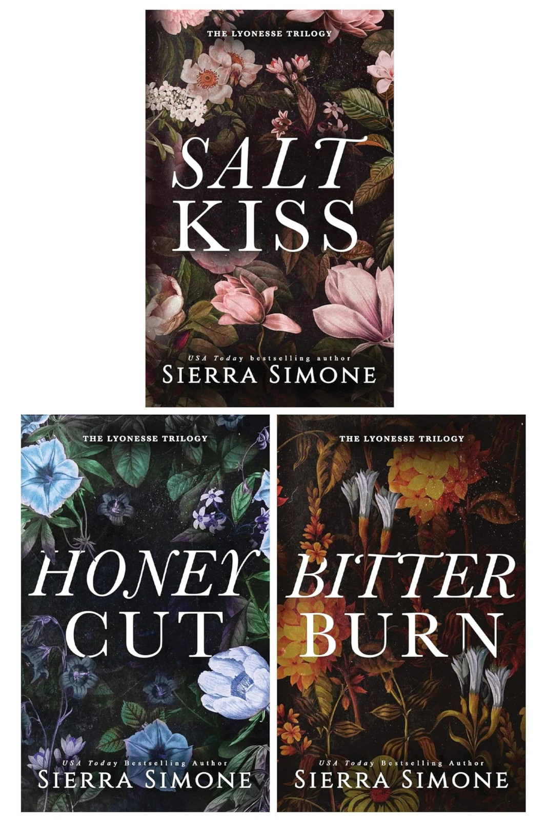 Lyonesse Trilogy 3 Books Collection Set by Sierra Simone Salt Kiss, Honey Cut - Image 3