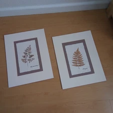 Vintage Dried Pressed Leaf Art on mat board No Frame Set of 2 Pre-Owned
