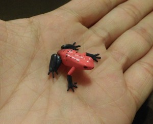 RARE-Kaiyodo-Yujin-Play-Vision-Baby-Strawberry-Poison-Dart-Frog-SMALL-PVC-Figure