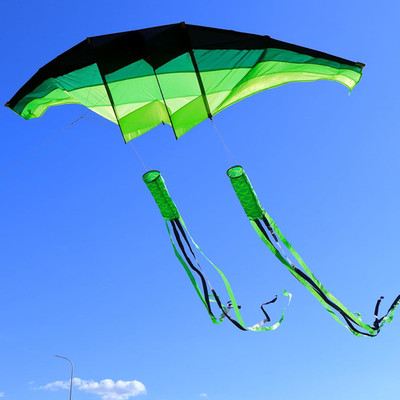 Huge 3D Adult Gliders Kite, 120'' in Giant Single Line Kites with Two 17Ft 3D Tai