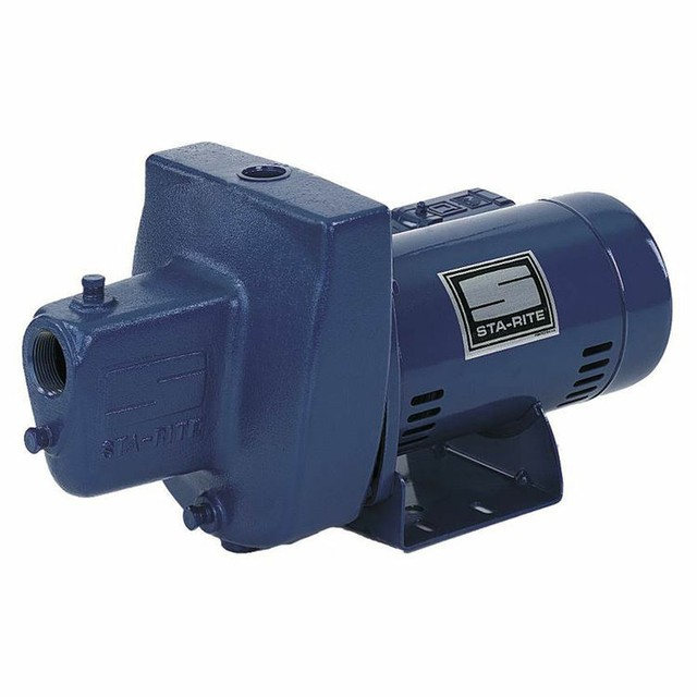 StaRite FSNDH Shallow Well Jet Pump, 3/4 hp, 115/230 V, Cast Iron eBay