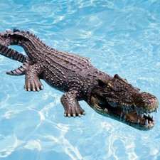 Realistic Floating Crocodile 30" Works in Pool as Decoy or as Decoration