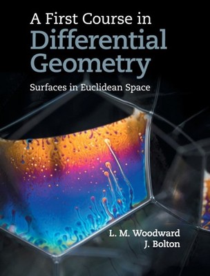 FIRST COURSE IN DIFFERENTIAL GEOMETRY by LYNDON WOODWARD Hardback Self Help
