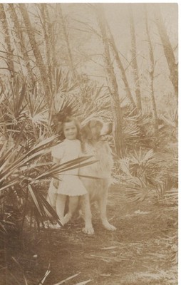 Vintage Postcard Young Girl and St.Benard in Woods unposted written card