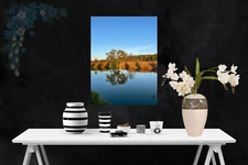 Photo Digital Image Picture Wallpaper Background Autumn Lake Tree JPG Wall Art