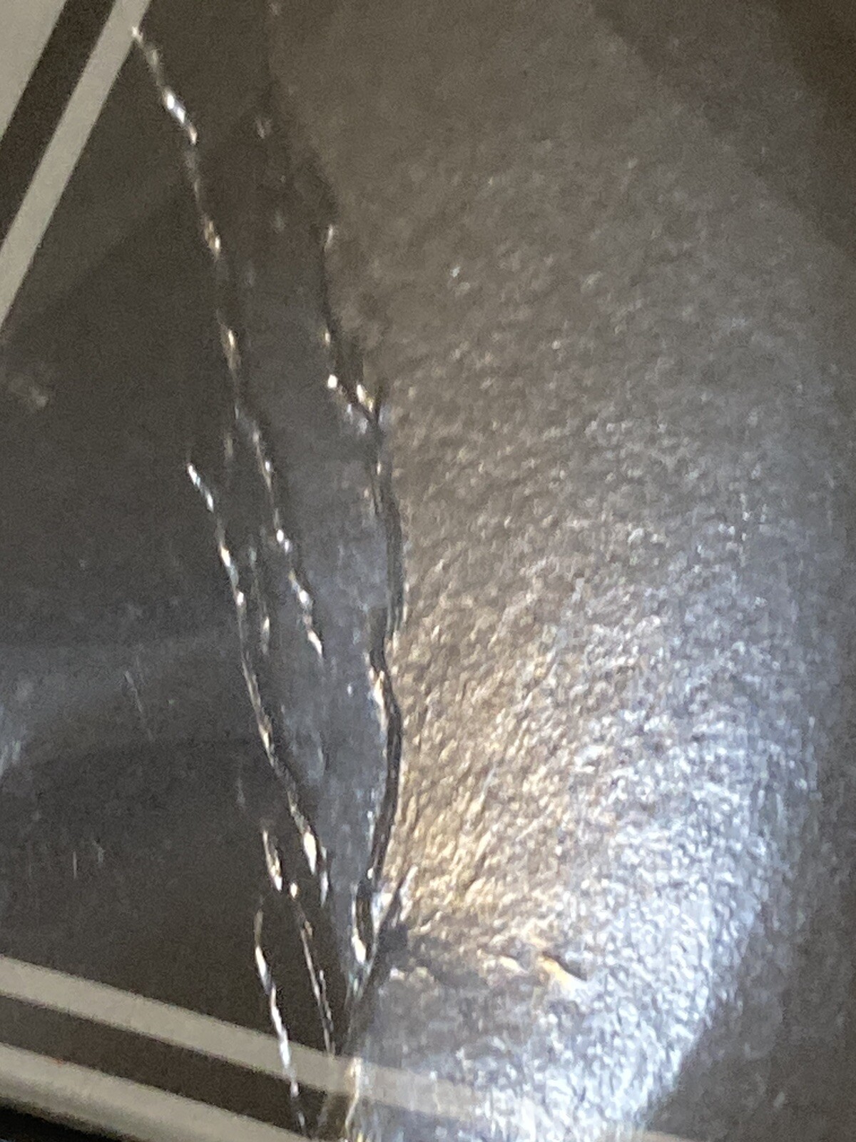 Picture 6 of 7