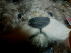 Bild 11 von 12