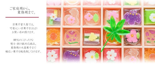 Japanese Traditional sweets WAGASHI 42 pcs Gift Box Kyoto HANAZONO Made in Japan - Picture 7 of 15