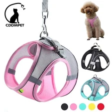 Dog Harness & Leash Set for Small Dogs, Adjustable Puppy Cat Walking Vest Lead