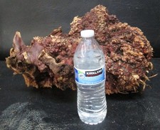 manzanita burl wood  D134 16" x 10 1/4" x 9"