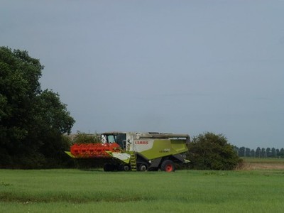 Foto A2 Claas Lexion 670 Mähdrescher Conington \/TL1785 bei Ivy Far c2013