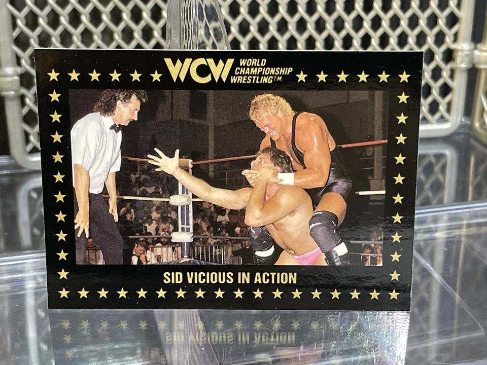 1991 WCW Marketing Sid Vicious Wrestling Card #43 WWE NWA WWF Classic Superstars - Image 3 of 4