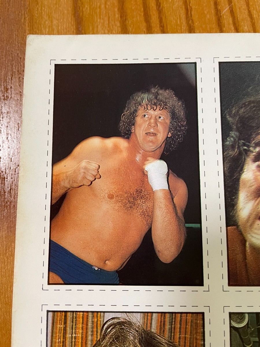 Rare!! Vintage!! 3/1982 Japan Wrestling Magazine 