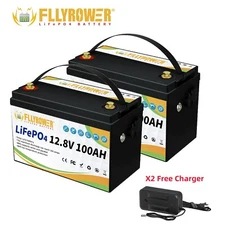 2-Pack 24V 100Ah LiFePO4 Battery 100A BMS Deep Cycles 12V 100Ah RV Solar Camping