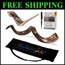Exclusive Yemenite Kudu Shofar  Bonus Ram Horn