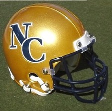 NORTHERN COLORADO BEARS 2008-09 FOOTBALL MINI HELMET MUST READ ITEM DESC.