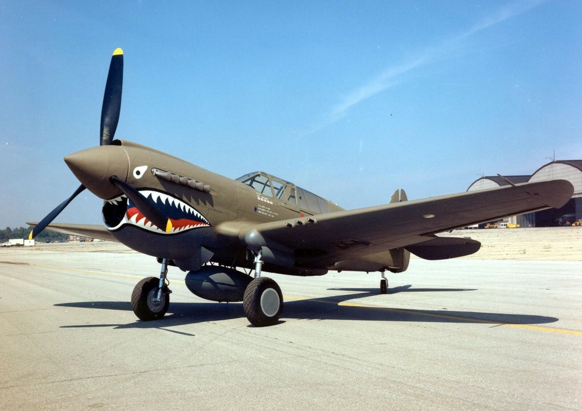 洋書 Flying Tigers WWII Book Review: Flying Tigers