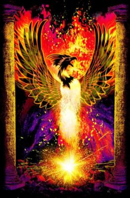 Phoenix Rebirth Non-Flocked Blacklight Poster 24.5'' x 36.5'' Laminated