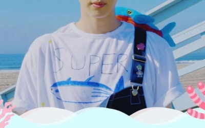 Super Tuna BTS JIN ツナTシャツ　　当選品　非売品　XL Kpop Bts Jin's Super Tuna T-Shirt, Gift for Army, Cotton Bangtan