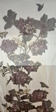 Vince Camuto Floral Butterfly Oblong Scarf Sheer Neutral New w/Tag Apx 75" x 40"