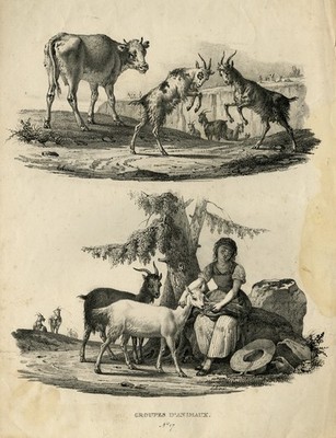 Antiker Druck - Zwei Szenen mit Tieren in einer Landschaft - Leborne - Leborne - ca. 1828