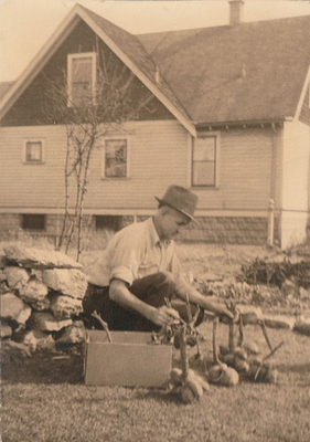 #ad Vintage Photo Farmer Harvesting Root Vegetables Potatoes Rural American History $11.99