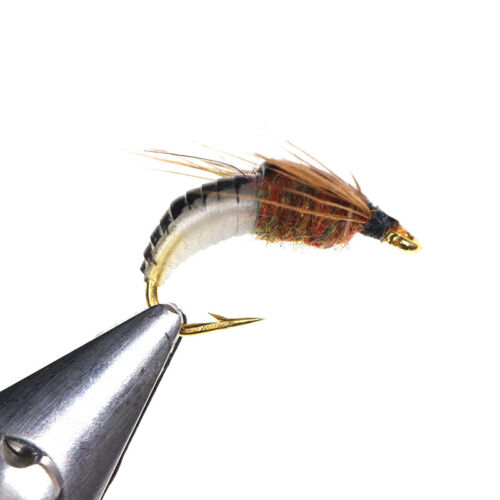 1pcs Box Fliesfishing Lure 5 Styles Realistische Nymphscud --Fliege zum Fischen  - Picture 1 of 36