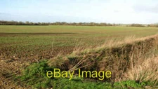 Photo 6x4 Crop field by Manor Farm Cottages Loddon Ingloss  c2016