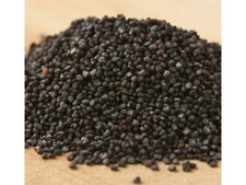Poppy Seeds 1 Pound Seeds