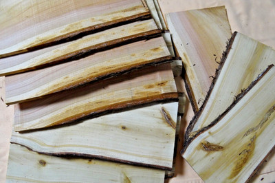 Thuja Lebensbaum Holz Brett Bohle Drechselholz Bastelholz L.ca.30cm.Dicke ca.1cm