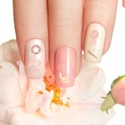 Bild 9 von 12