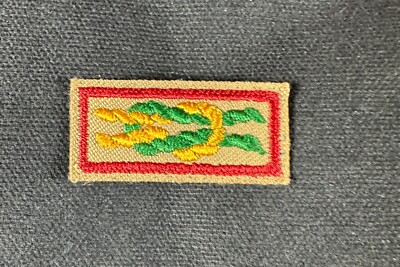 BSA Boy Scout James E. West Knot