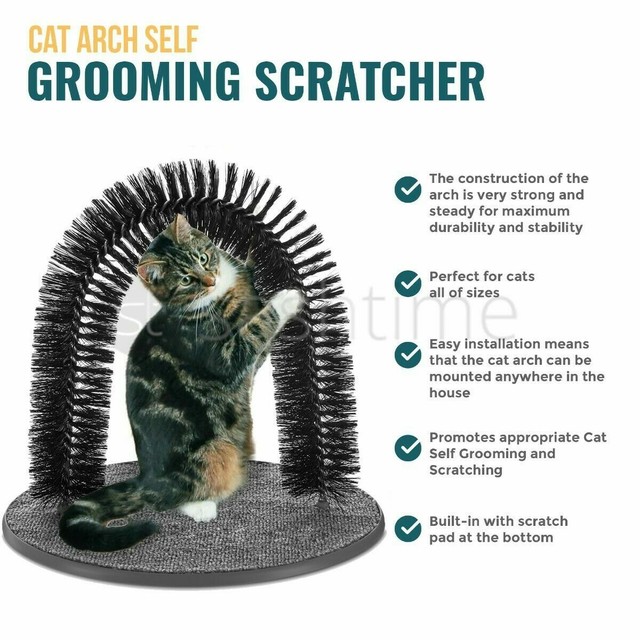 cat brush arch