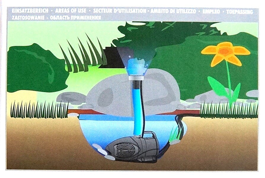 Picture 10 of 16