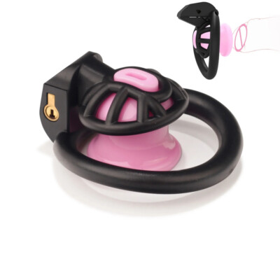 Newest 4 Rings Sissy Inverted Cage Positive Negative Chastity Cage Lock