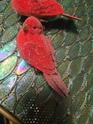 Lot Of 2 Red Clip On Bird Christmas Ornaments — photo 2