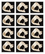 MUSLIN BAGS 12 PACK CHEESECLOTH FOR BOILING STRAINING STEEPING HOPS GRAIN HERBS 