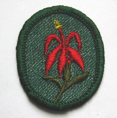Vintage 1955-1960 Girl Scout Red CARDINAL FLOWER TROOP CREST Patch Botany Badge