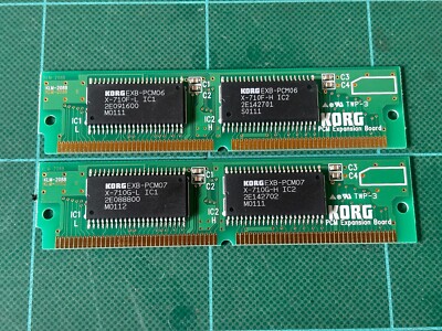 Korg EXB-PCM06/07 Orchestral Collection PCM Expansion Board | eBay