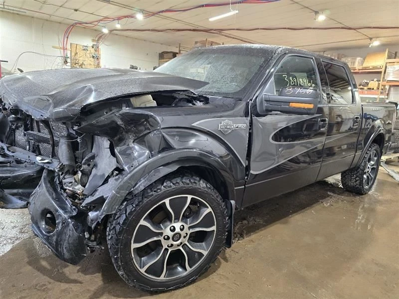 Manija de puerta del conductor exterior trasera 4 puertas para camioneta Ford F150 07-14 585268 Foto 3 de 4